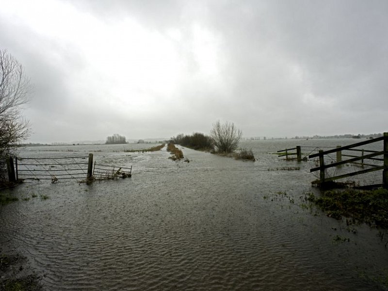 How smarter flood mangement can help make us more resilient to flooding